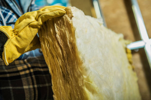 Best Insulation Installation Services in Pioneer Village, KY